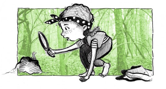 Shanda McCloskey Explorer Illustration
