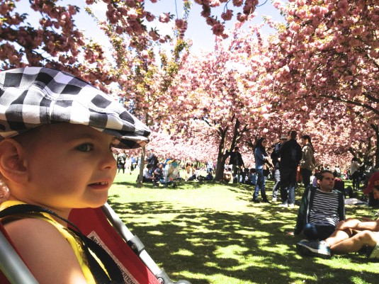 At the Brooklyn Botanical Garden